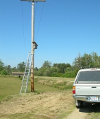 Access to Nest Box